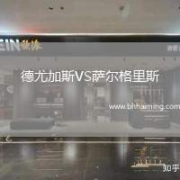 德尤加斯VS薩爾格里斯