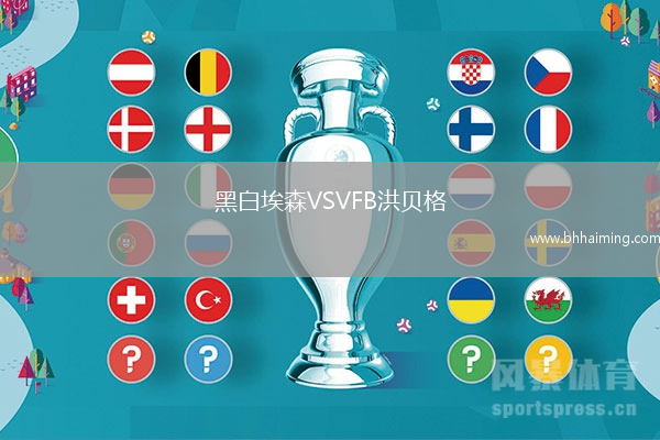 黑白埃森VSVFB洪貝格