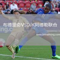 布德里奇VSDJK阿德勒聯(lián)合