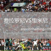 費拉羅尼VS里米尼