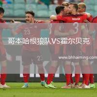 哥本哈根狼隊VS霍爾貝克