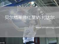 貝爾格萊德紅星VS扎達(dá)爾