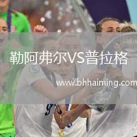 勒阿弗爾VS普拉格