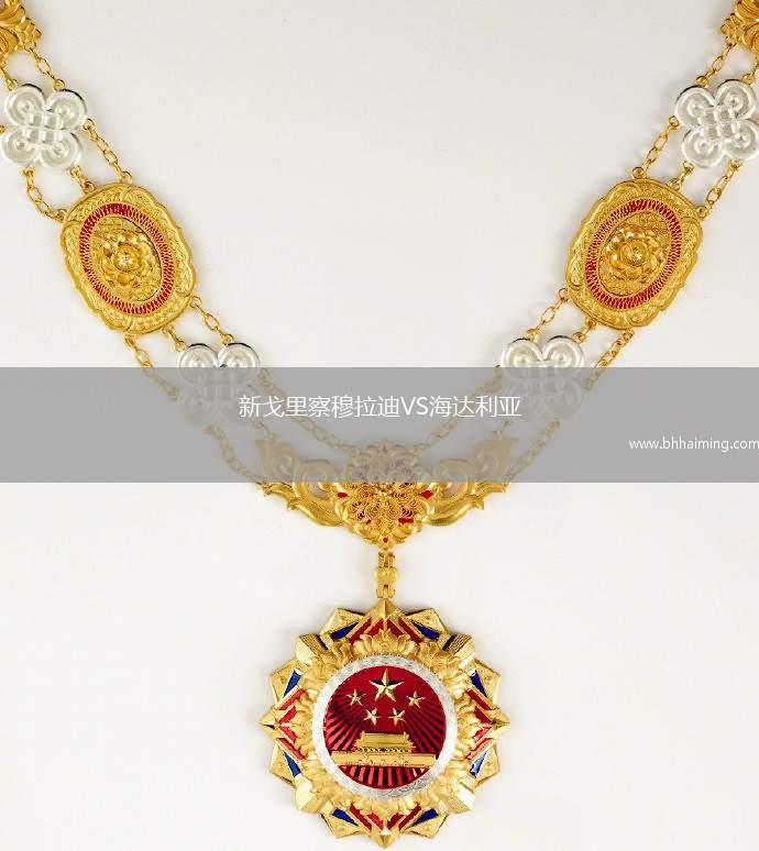 新戈里察穆拉迪VS海達(dá)利亞