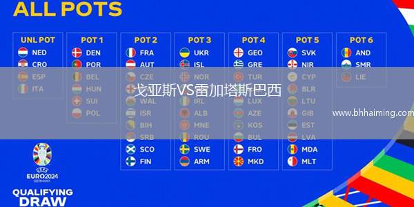 戈亞斯VS雷加塔斯巴西