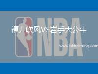 福井吹風(fēng)VS巖手大公牛