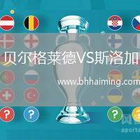 貝爾格萊德VS斯洛加