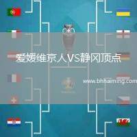 愛(ài)媛維京人VS靜岡頂點(diǎn)