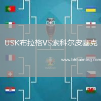USK布拉格VS索科爾皮塞克