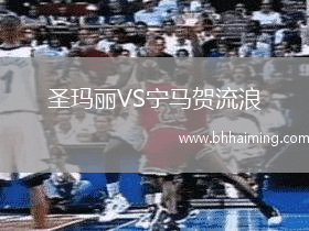 圣瑪麗VS寧馬賀流浪