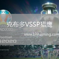 克布多VSSP獵鷹