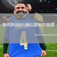 舍克斯納VS弗拉基米爾魚雷