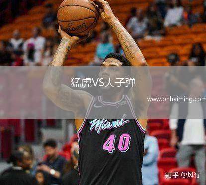 猛虎VS大子彈