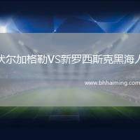 伏爾加格勒VS新羅西斯克黑海人