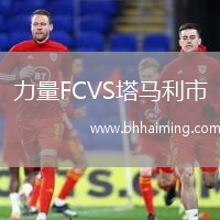 力量FCVS塔馬利市