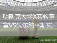 明斯克大學(xué)X實(shí)驗(yàn)室VS沃爾納平斯克