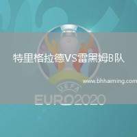 特里格拉德VS雷黑姆B隊