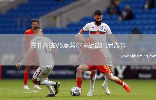 佐菲海法VS夏普爾埃胡德巴尼蓋特