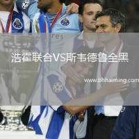 浩霍聯(lián)合VS斯韋德魯全黑
