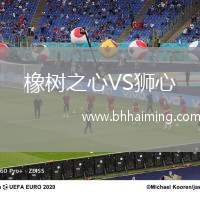 橡樹(shù)之心VS獅心