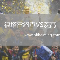 福塔雷紹查VS茨高