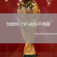 加姆特蘭VS諾科平海豚