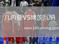 幾內(nèi)亞VS博茨瓦納