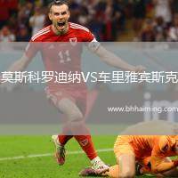 莫斯科羅迪納VS車?yán)镅刨e斯克