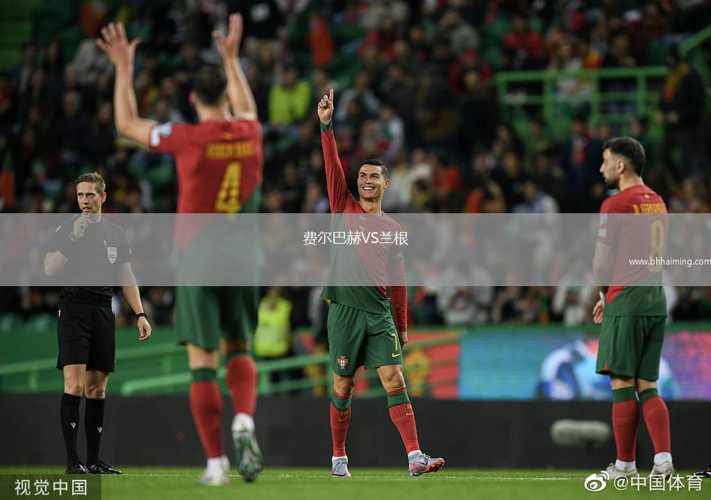 費爾巴赫VS蘭根