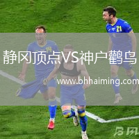 靜岡頂點VS神戶鸛鳥