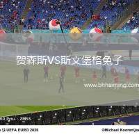 賀森斯VS斯文堡格兔子