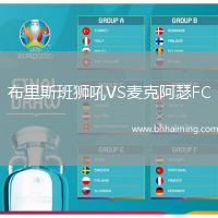 布里斯班獅吼VS麥克阿瑟FC