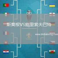 斯莫根VS鮑里索夫巴特