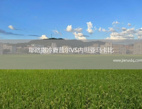 庫班VS符拉迪沃斯托克迪納摩