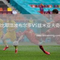 比耶洛波布爾多VS茲米亞夫奇