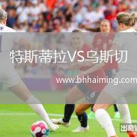 特斯蒂拉VS烏斯切