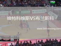 維特科維斯VS布蘭斯科