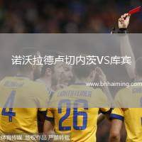 諾沃拉德盧切內(nèi)茨VS庫(kù)賓