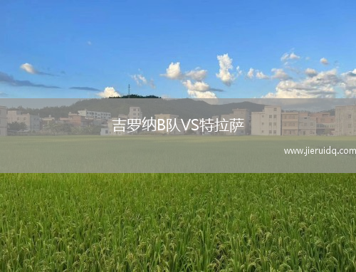 維塞利青年隊(duì)VS雷吉亞納U19