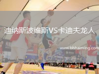 迪納斯波維斯VS卡迪夫龍人