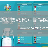 施瓦茲VSFC盧斯特瑙