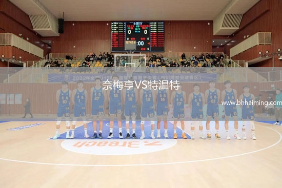 奈梅亨VS特溫特