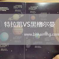 特拉凱VS黑格爾曼