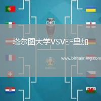 塔爾圖大學VSVEF里加