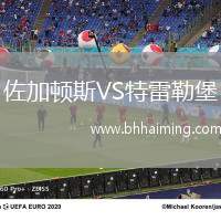 佐加頓斯VS特雷勒堡