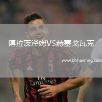 博拉茨澤姆VS赫塞戈瓦克