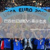 巴吞他尼蟒蛇VS曼谷老虎