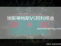 埃斯蒂特斯VS阿利根迪