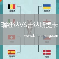 瑞維納VS吉納斯提卡