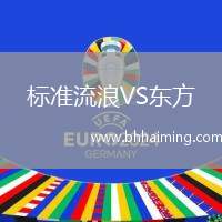 標(biāo)準(zhǔn)流浪VS東方
